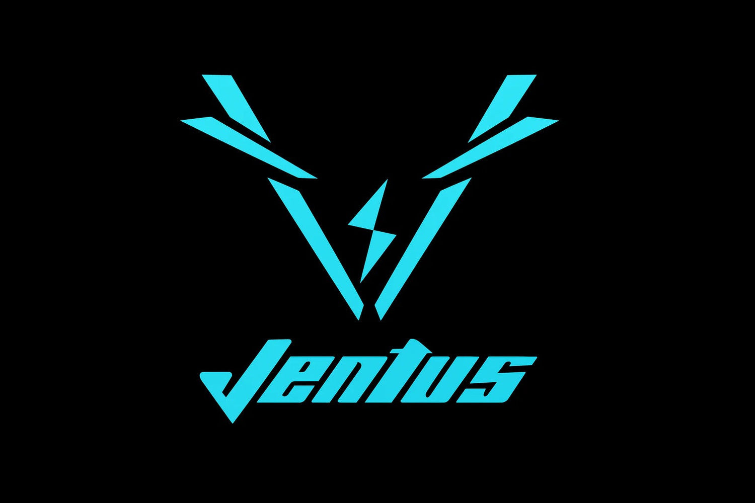 Ventus Parts - BLACKOUT moto
