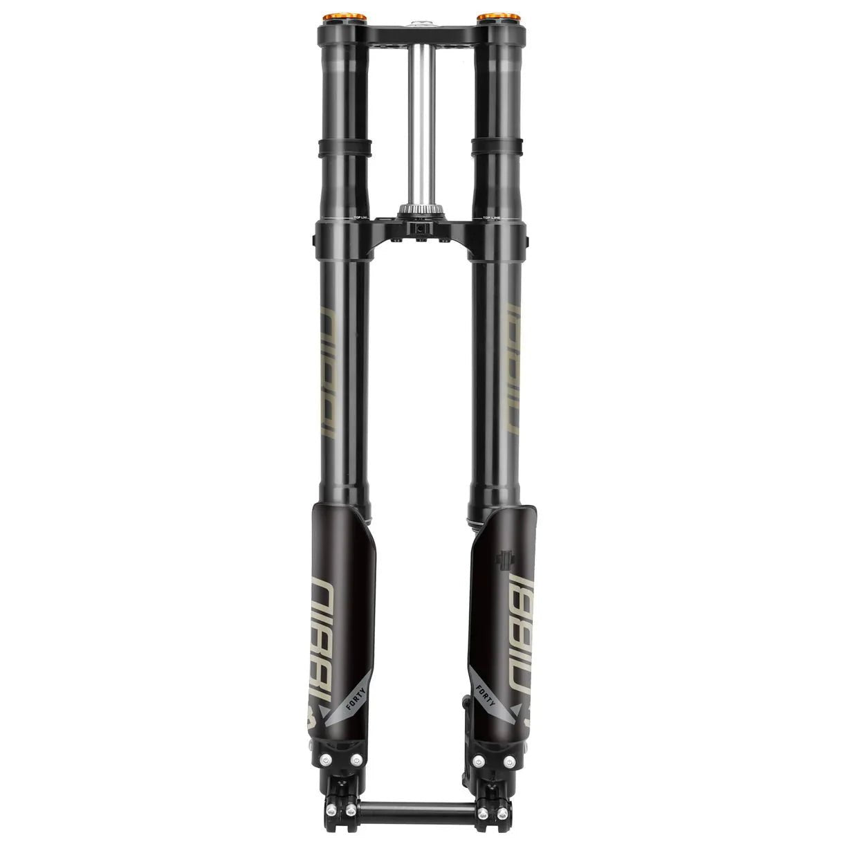 Nibbi 38mm Dual Spring Fork - BLACKOUT moto