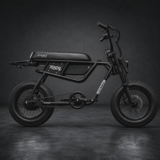 Rascal BLACK 48v / 500w