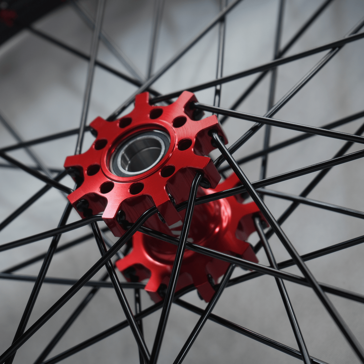 WGT Splattered V2 19x16 Wheel Set - BLACKOUT moto