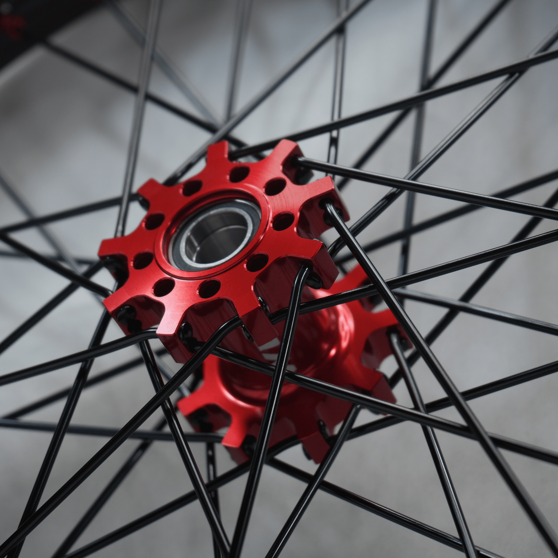 WGT Splattered V2 19x16 Wheel Set - BLACKOUT moto